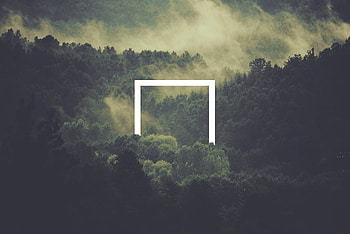 Abstract Vs Nature, abstract, nature, behance HD wallpaper