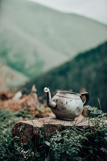 Vintage teapot with a wildflower set against a scenic mountainous backdrop, capturing the essence of wilderness. HD phone wallpaper
