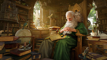 Merlin, man, green, wizard, owl, otto metzger, art, fantasy, bufnita, pasari HD wallpaper
