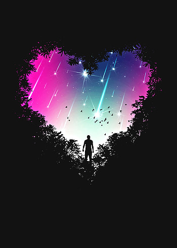 Silhouette, heart, night, comets, birds HD phone wallpaper