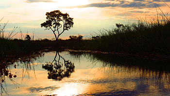 Climate change, Mitigation policies, African river basins, Connection HD wallpaper