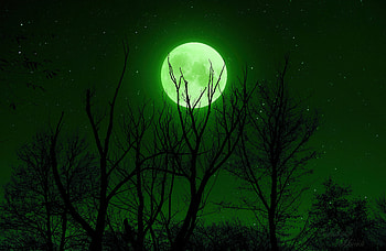 Full Moon Green , moon, nature HD wallpaper