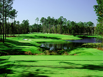 Search Results for “ golf for ipad” – Adorable HD wallpaper