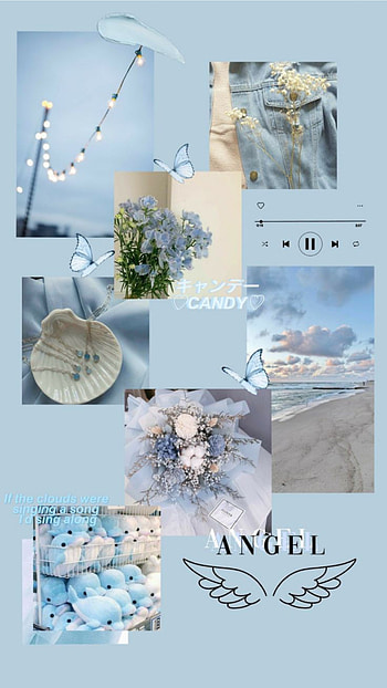 Aesthetic, art, petal HD phone wallpaper