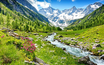 Zillertal valley in spring, Alps, creek, brook, Tyrol, spring, wildflowers, greenery, Austria, hills, beautiful, grass, rocks, mountain, glacier, valley, view, stream HD wallpaper