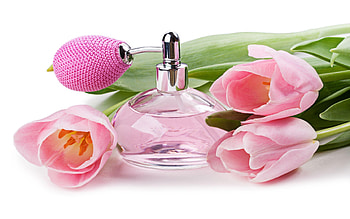 Perfume , Stylish backgrounds, Fragrance visuals, Perfume inspiration HD wallpaper