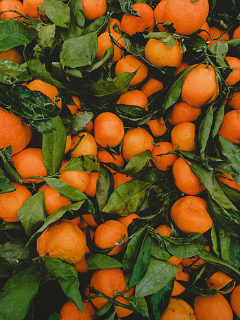 Fruits, Food, Leaves, Tangerines, Citrus HD phone wallpaper