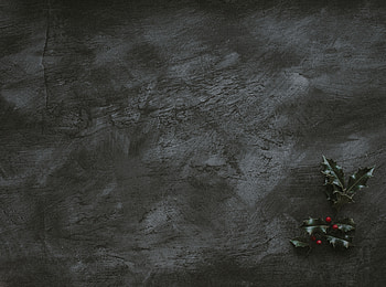 Leaves, Berries, Miscellanea, Miscellaneous, Branch HD wallpaper