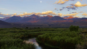 Moonset at sunrise, Owens Valley, California, river, clouds, trees, sky, mountains, usa HD wallpaper