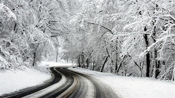 White road, winter, trees, road, nature HD wallpaper