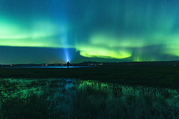 Green Grass Field Aurora, aurora, northern-lights, nature HD wallpaper