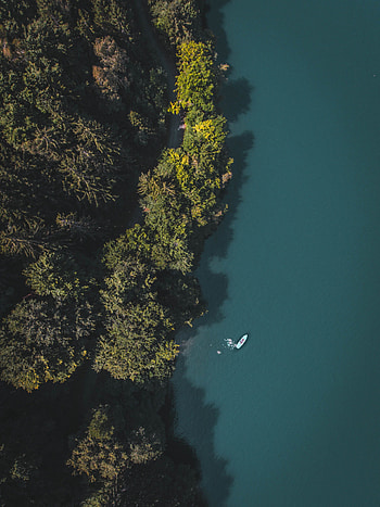 Nature, Trees, View From Above, Lake, Boat HD phone wallpaper