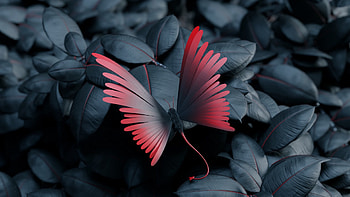 Butterfly Leaves Artwork, butterfly, artist, artwork, digital-art HD wallpaper