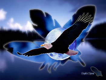 animals, eau, aigle, lune, arbre HD wallpaper