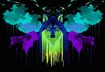 Art, Paint, Stains, Spots, Wolf HD wallpaper