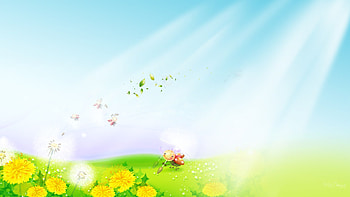 Ladybugs and Dandelions, sunshine, ladybug, firefox persona, grass, spring, dandelions, summer, leaves, flowers, sky HD wallpaper