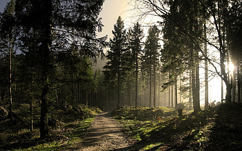 Landscape, Roads HD wallpaper