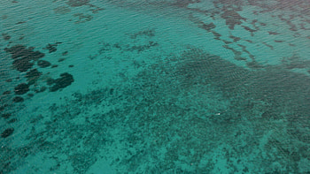 Ocean Bottom Clear Body Of Water Nature HD wallpaper