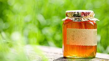 Honey elegance, Beautiful , Sweet and golden, Nature's beauty HD wallpaper