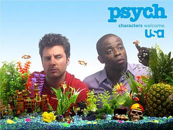 TV Show, Psych HD wallpaper