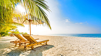 Summer vacation, rays, sea, tranquility, sunlight, tropical, paradise, relax, vacation, beach, scenery, rest, breeze, sands, sky, sun, ocean, palms HD wallpaper