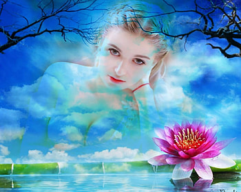 Beauty, art, face, flowers, woman HD wallpaper
