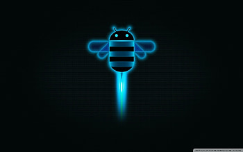 Background, Bees HD wallpaper