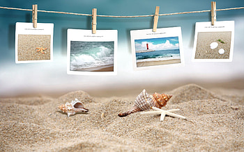 Beach, Shells, Miscellanea, Miscellaneous, , graphs HD wallpaper