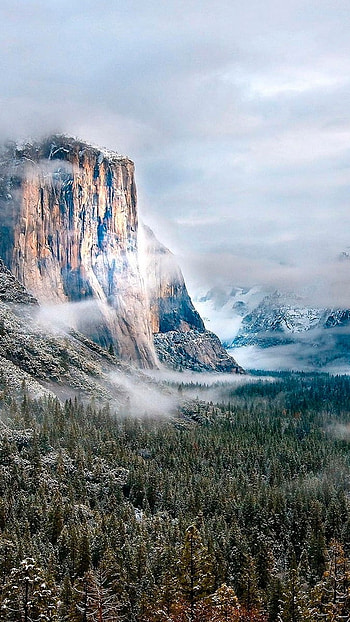 4 k, Yellowstone, National Park, Winter HD phone wallpaper