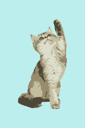 Animal, cat HD phone wallpaper