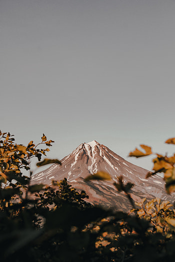 Nature, Bush, Mountain, Vertex, Top, Branches, Volcano HD phone wallpaper