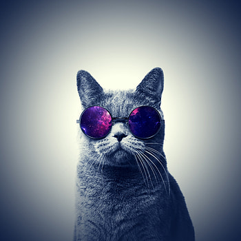  HD phone wallpaper
