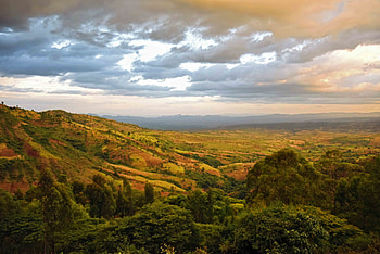 Nature, Trees, Bush, Hills, Dahl, Distance, Valley HD wallpaper