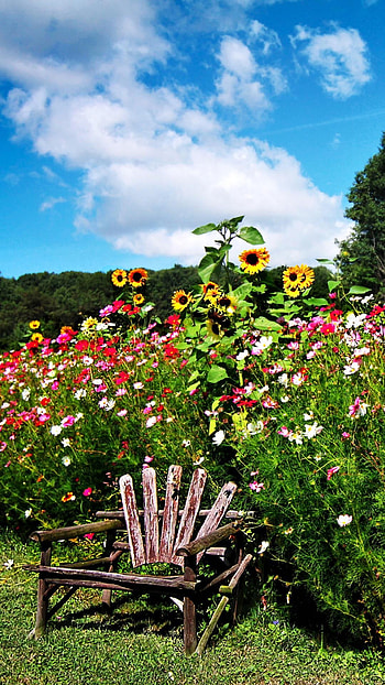 English gardens, Classic charm, Romantic landscapes, Timeless beauty HD phone wallpaper