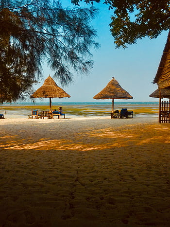 Idyllic beachfront scene in Dar es Salaam, perfect for relaxation and tropical getaways. HD phone wallpaper