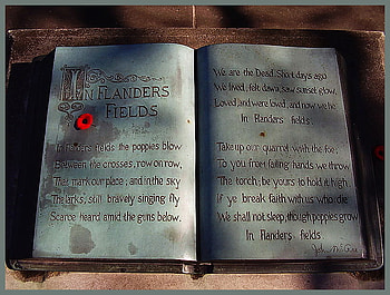 In Flander's field, flanders field, book, poppy, armed forces, tribute HD wallpaper