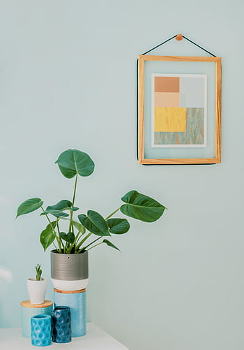 A minimalist interior with a Monstera plant, framed abstract art, and home decor elements. HD phone wallpaper