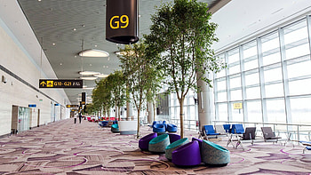 Singapore Changi International Airport, Changi Airport T4, Cond Nast Traveller, First look HD wallpaper