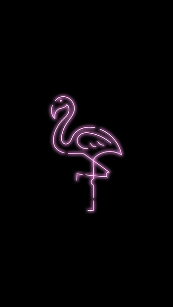 neon flamingo, automotive lighting, pink, black HD phone wallpaper