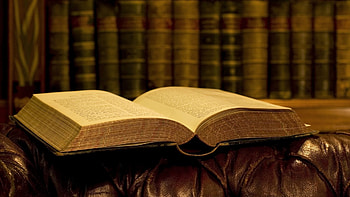Miscellanea, Miscellaneous, Lies, Book, Sofa, Library HD wallpaper