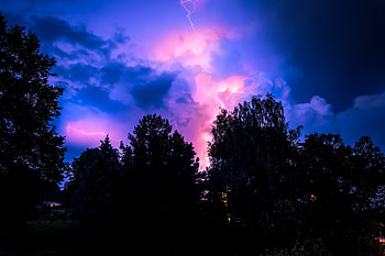Trees, Sky, Night, Dark, Thunderstorm, Storm HD wallpaper