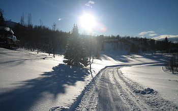 Winter, Nature, Snow, Road HD wallpaper