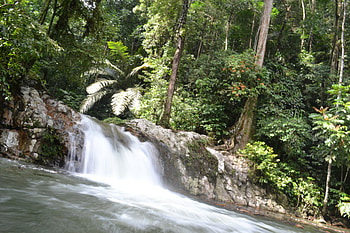 nice waterfall..., amadeen, kum33r, graverobber, nice-destiny, purplehaze74, merih1, kkraja, jacqelinela, morizmo, floriana, spanish-gurl, santos23, robotic, pinegreen, levyznin, jwoof, ramyadevims, sewenka, mello, truckdriver, kull, ohio, sotos, jackie133, mj90, myst3rio, itta31, janu12, irwin, deadcreed12, zeeshan7, solidgiant, justin636, walt513, norbevort, nadxxm, anonymous, dencedex23, pekagibson, imransajan6, bluerose, tedisoo, ozzy5555, dreamer-girl, jercko, javajodi, sensssor, perscons, lu, adel, feliperovere, eremit, delorean, gwgreen1 HD wallpaper