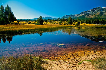 Tranquil mountain lake scene with clear reflections and lush pine forests under a bright blue sky. HD wallpaper