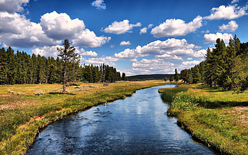 grizzlyriver at Yellowstone National Park R, river, yellowstone national park, grizzlyriver, yellowstone, r, macindows, usa HD wallpaper