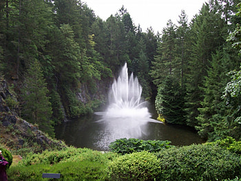 Fountain in the park, water, forest, fountain, pond HD wallpaper