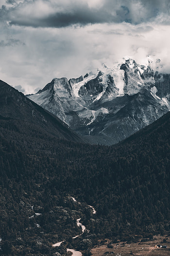 Nature, Mountains, Clouds, View From Above, Vertex, Forest, Fog, Tops HD phone wallpaper