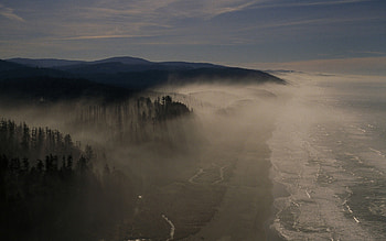 seacoast in morning fog, sea, fog, morning, coast, forest HD wallpaper