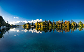 Aare River ,Switzerland, river, reflection, clouds, trees, autumn, nature, water HD wallpaper