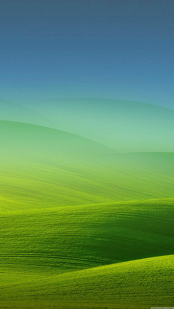 Meadow Fog Lock Screen Android HD phone wallpaper
